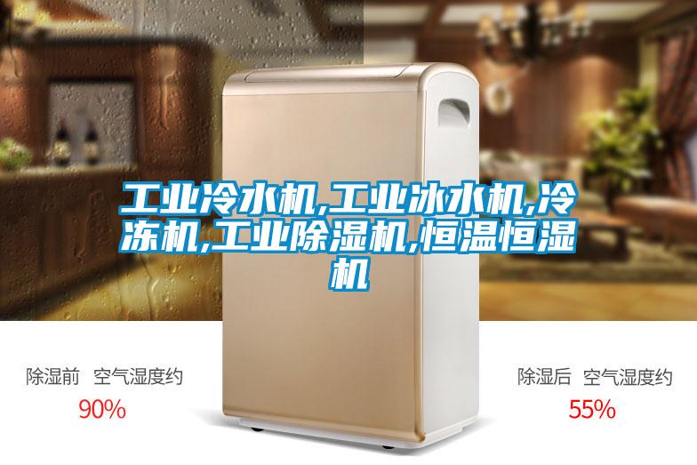 工業冷水機,工業冰水機,冷凍機,工業91视频链接下载,恒溫恒濕機