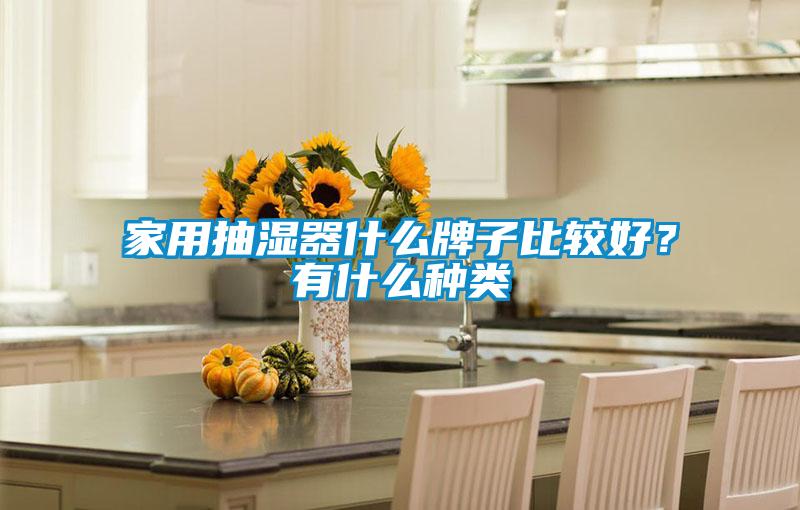 家用抽濕器什麽牌子比較好？有什麽種類