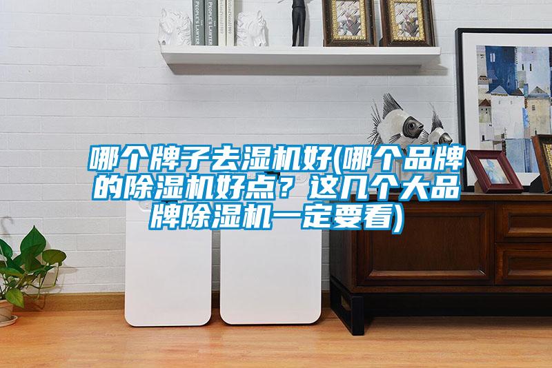 哪個牌子去濕機好(哪個品牌的91视频链接下载好點？這幾個大品牌91视频链接下载一定要看)