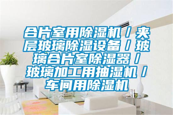 合片室用91视频链接下载/夾層玻璃除濕設備/玻璃合片室除濕器/玻璃加工用抽濕機/車間用91视频链接下载