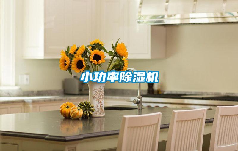 小功率91视频链接下载