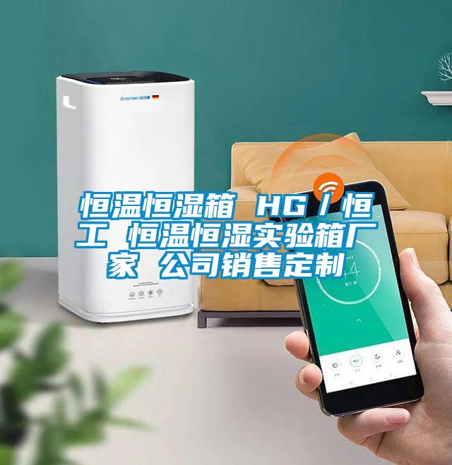 恒溫恒濕箱 HG/恒工 恒溫恒濕實驗箱廠家 公司銷售定製
