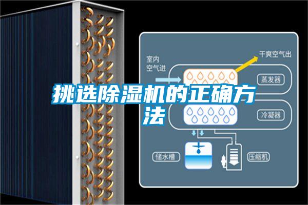 挑選91视频链接下载的正確方法