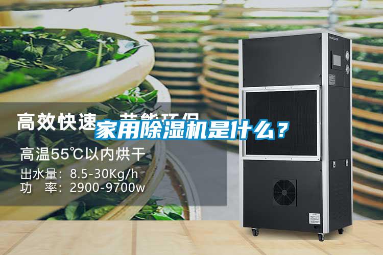 家用91视频链接下载是什麽？