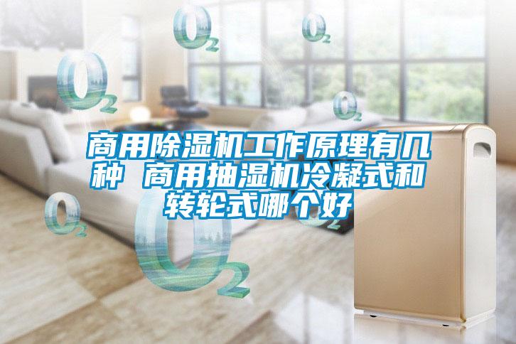 商用91视频链接下载工作原理有幾種 商用抽濕機冷凝式和轉輪式哪個好