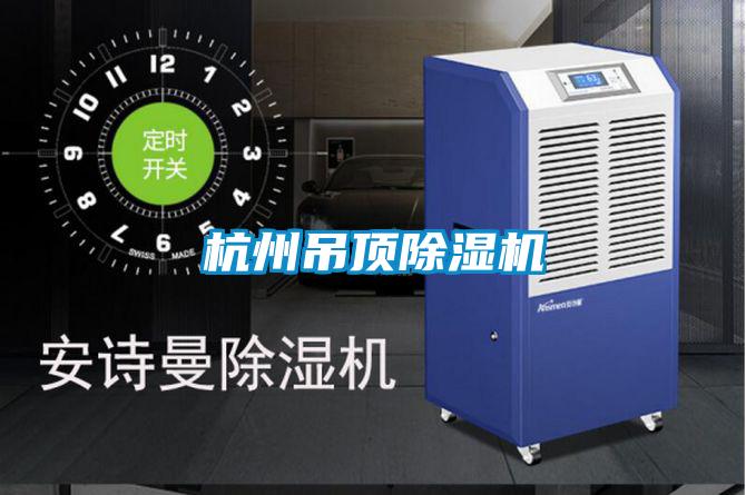 杭州吊頂91视频链接下载