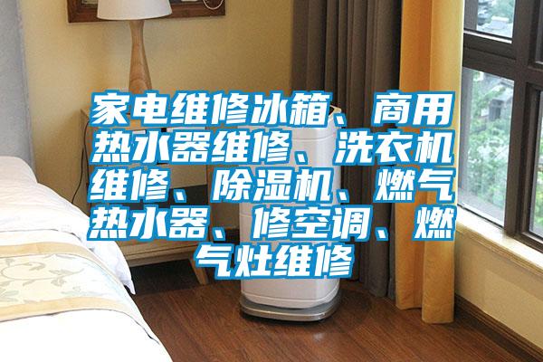 家電維修冰箱、商用熱水器維修、洗衣機維修、91视频链接下载、燃氣熱水器、修空調、燃氣灶維修