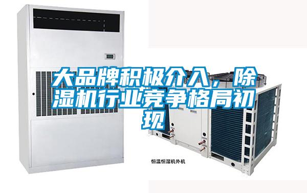 大品牌積極介入，91视频链接下载行業競爭格局初現