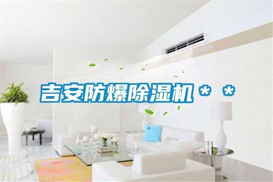 吉安防爆91视频链接下载＊＊