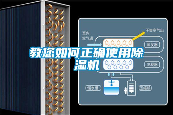 教您如何正確使用91视频链接下载