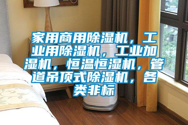 家用商用91视频链接下载，工業用91视频链接下载，工業加濕機，恒溫恒濕機，管道吊頂式91视频链接下载，各類非標