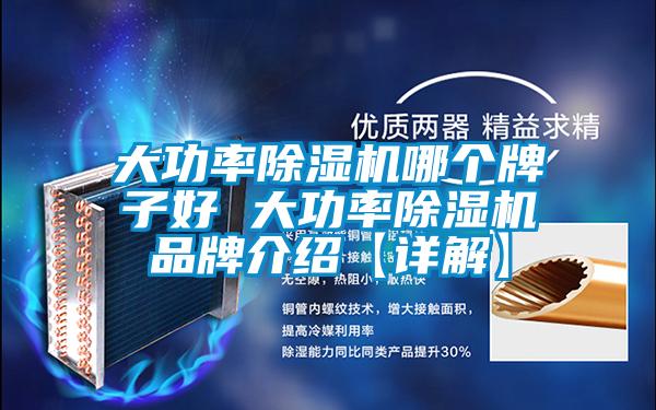 大功率91视频链接下载哪個牌子好 大功率91视频链接下载品牌介紹【詳解】