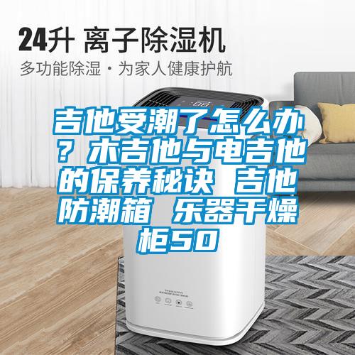 吉他受潮了怎麽辦？木吉他與電吉他的保養秘訣 吉他防潮箱 樂器幹燥櫃50