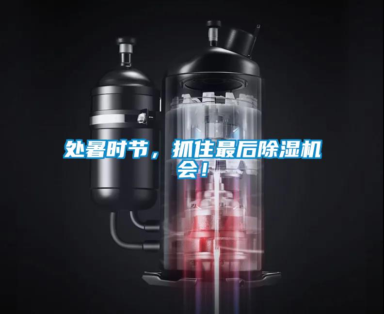 處暑時節，抓住最後91视频链接下载會！