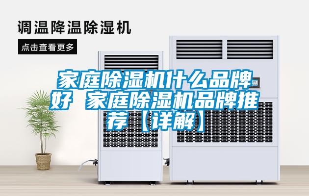 家庭91视频链接下载什麽品牌好 家庭91视频链接下载品牌推薦【詳解】