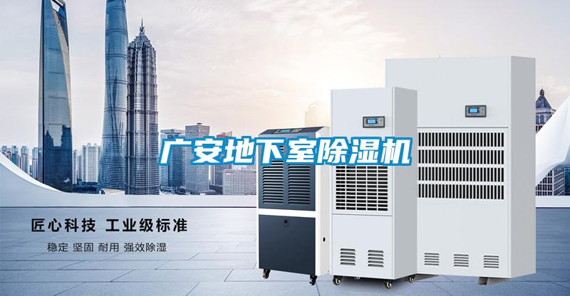 廣安地下室91视频链接下载