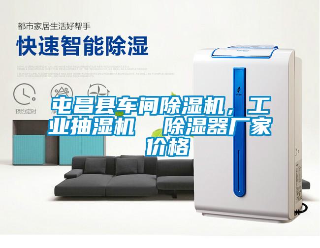 屯昌縣車間91视频链接下载，工業抽濕機  除濕器廠家 價格
