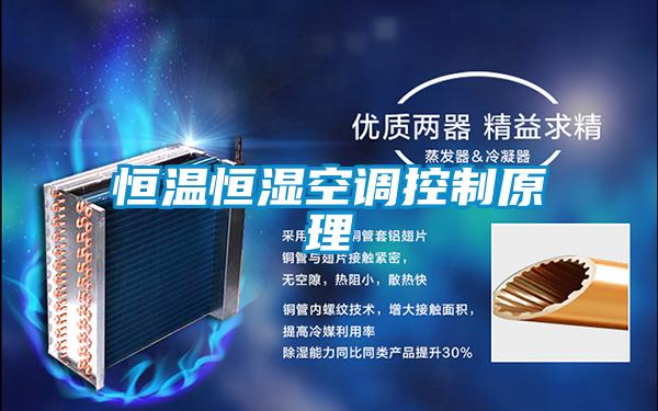 恒溫恒濕空調控製原理