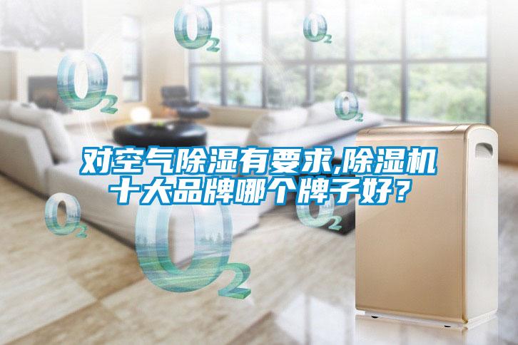 對空氣除濕有要求,91视频链接下载十大品牌哪個牌子好？
