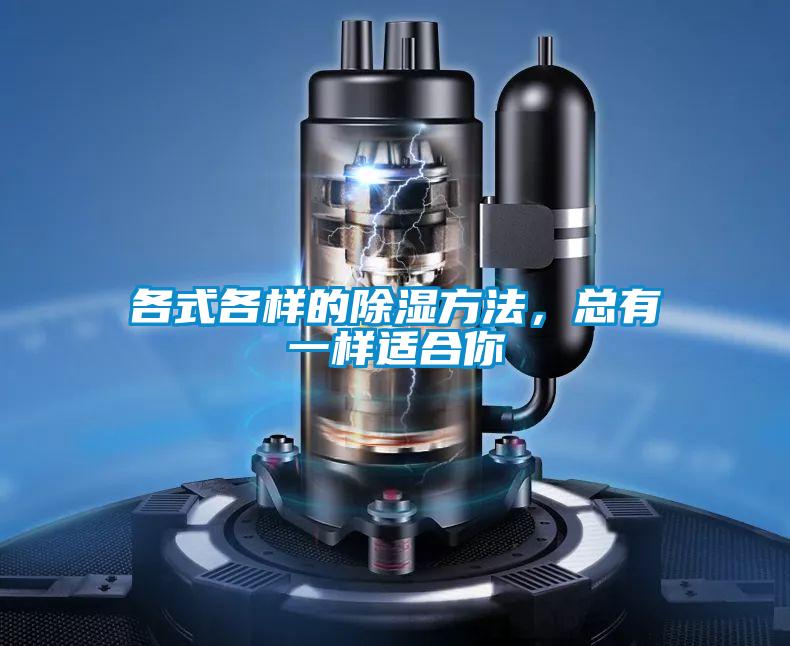 各式各樣的除濕方法，總有一樣適合你