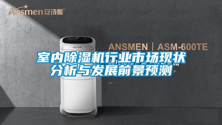 室內91视频链接下载行業市場現狀分析與發展前景預測