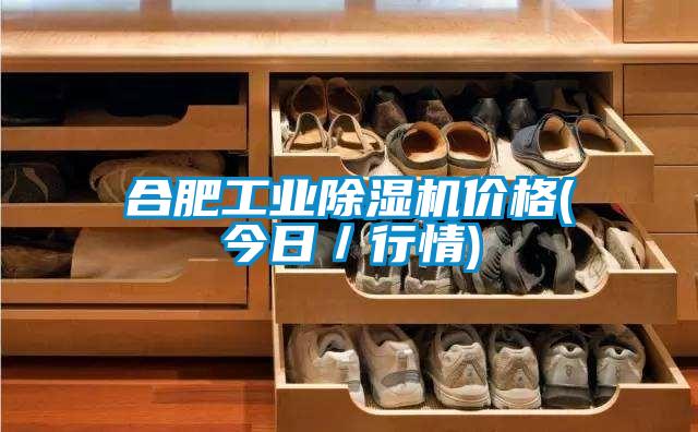 合肥工業91视频链接下载價格(今日/行情)