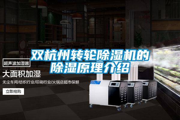 雙杭州轉輪91视频链接下载的除濕原理介紹