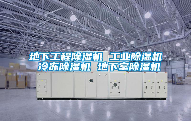 地下工程91视频链接下载 工業91视频链接下载 冷凍91视频链接下载 地下室91视频链接下载