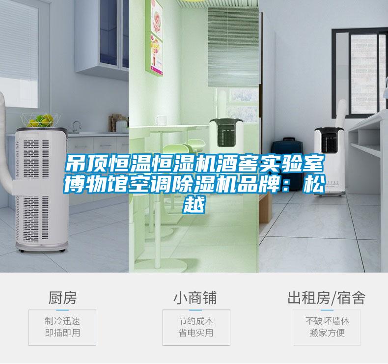 吊頂恒溫恒濕機酒窖實驗室博物館空調91视频链接下载品牌：鬆越