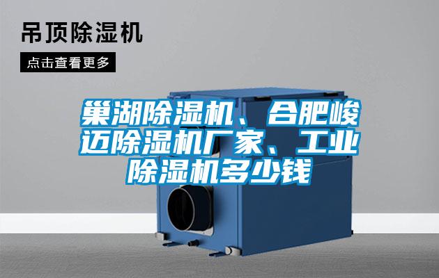 巢湖91视频链接下载、合肥峻邁91视频链接下载廠家、工業91视频链接下载多少錢