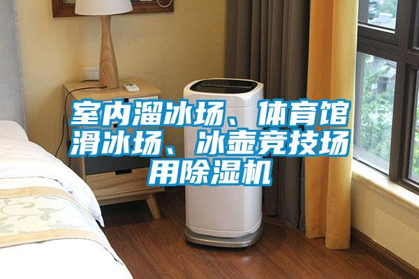 室內溜冰場、體育館滑冰場、冰壺競技場用91视频链接下载