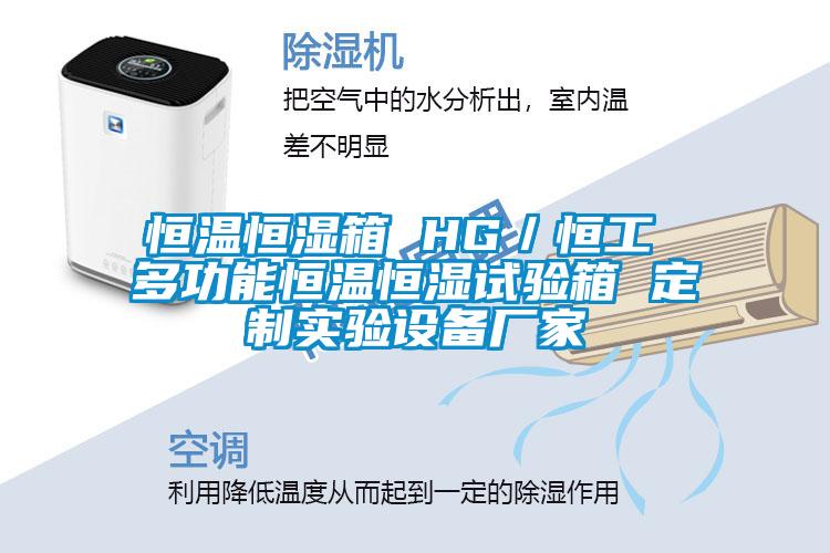 恒溫恒濕箱 HG/恒工 多功能恒溫恒濕試驗箱 定製實驗設備廠家