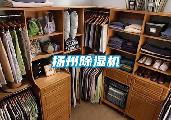 揚州91视频链接下载