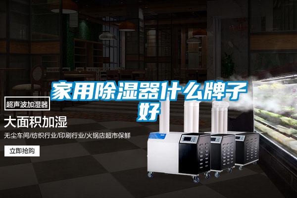 家用除濕器什麽牌子好