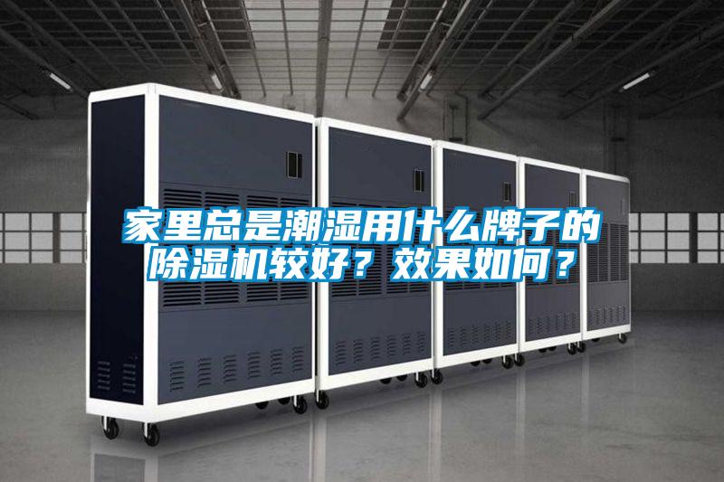 家裏總是潮濕用什麽牌子的91视频链接下载較好？效果如何？