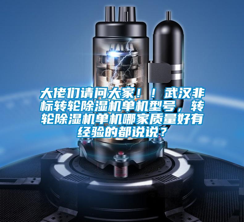 大佬們請問大家！！武漢非標轉輪91视频链接下载單機型號，轉輪91视频链接下载單機哪家質量好有經驗的都說說？