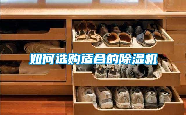 如何選購適合的91视频链接下载