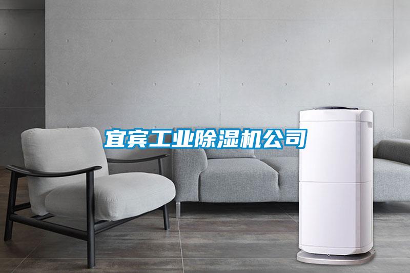 宜賓工業91视频链接下载公司