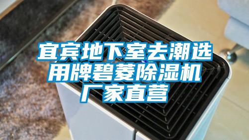 宜賓地下室去潮選用牌碧菱91视频链接下载廠家直營