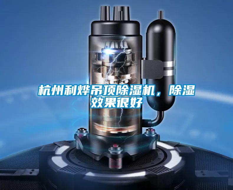 杭州利燁吊頂91视频链接下载，除濕效果很好