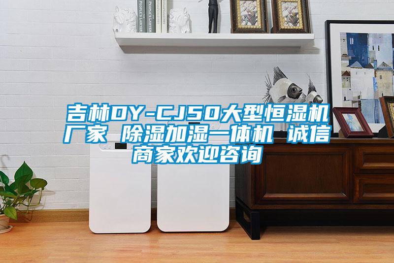 吉林DY-CJ50大型恒濕機廠家 除濕加濕一體機 誠信商家歡迎谘詢