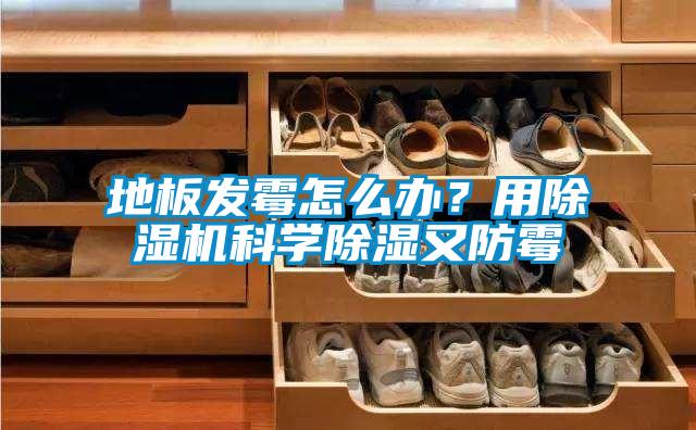 地板發黴怎麽辦？用91视频链接下载科學除濕又防黴