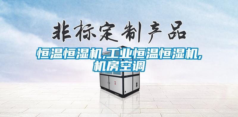 恒溫恒濕機,工業恒溫恒濕機,機房空調