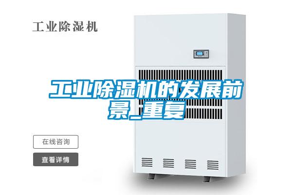 工業91视频链接下载的發展前景_重複