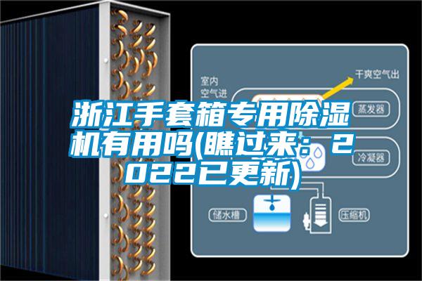 浙江手套箱專用91视频链接下载有用嗎(瞧過來：2022已更新)