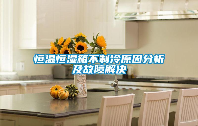 恒溫恒濕箱不製冷原因分析及故障解決