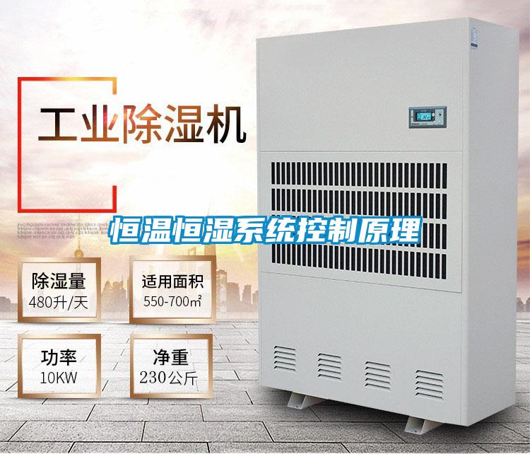恒溫恒濕係統控製原理