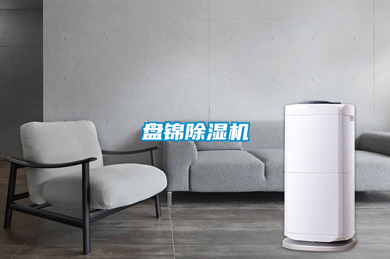 盤錦91视频链接下载