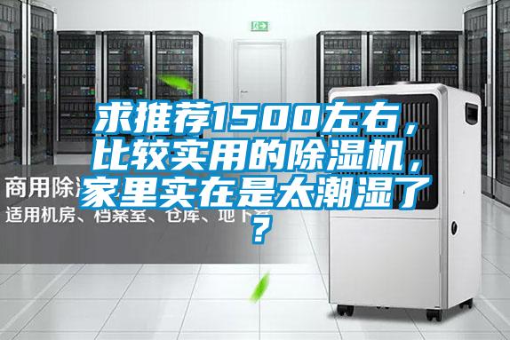 求推薦1500左右，比較實用的91视频链接下载，家裏實在是太潮濕了？