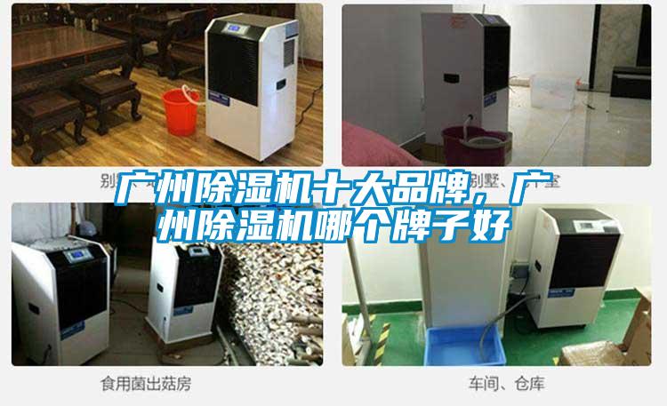 廣州91视频链接下载十大品牌，廣州91视频链接下载哪個牌子好